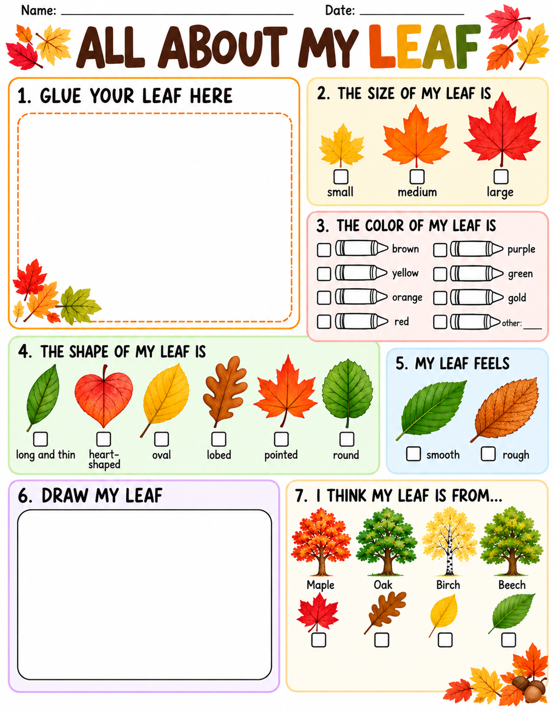 All About My Leaf worksheet